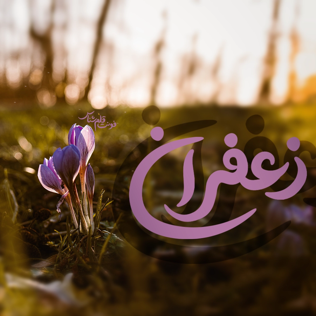 فونت قلم شناس - تصویر 3